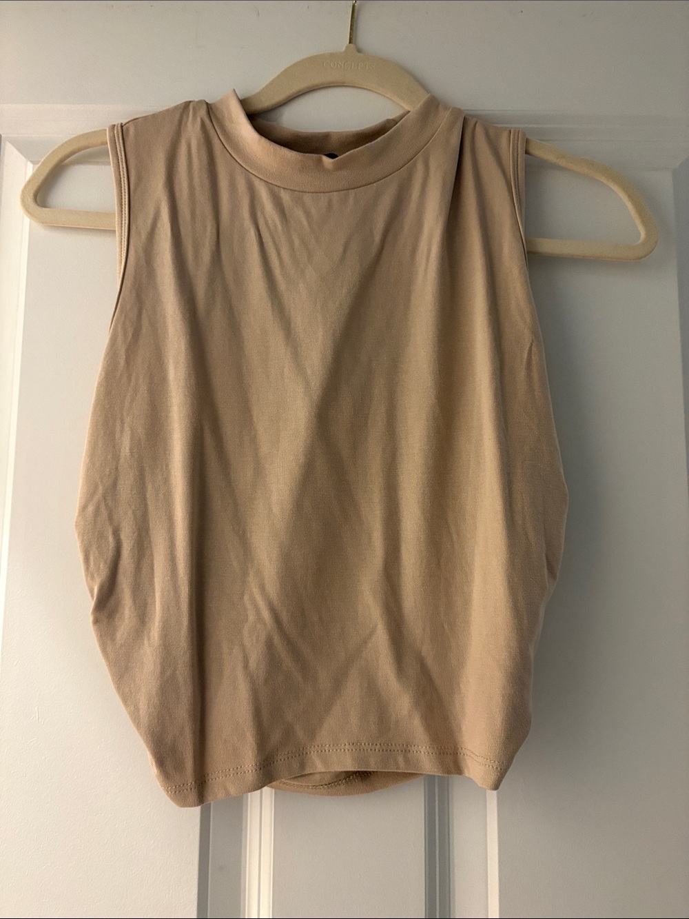 Cider Mock Neck Crop Tank Top - Beige